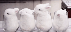 苯尔采集到♥爱♥