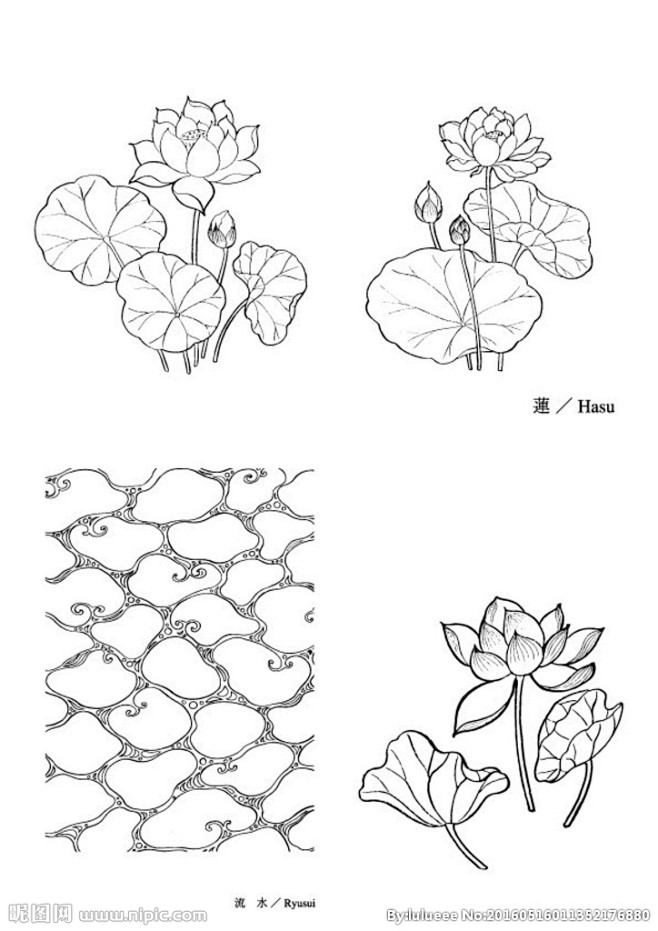 matlab画莲花图片