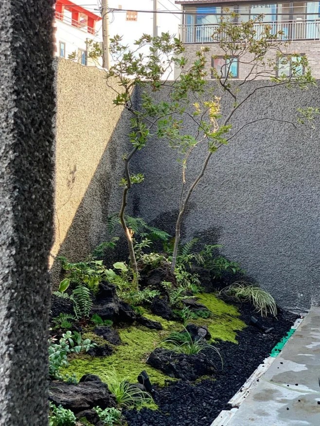 杂木庭院-花瓣网