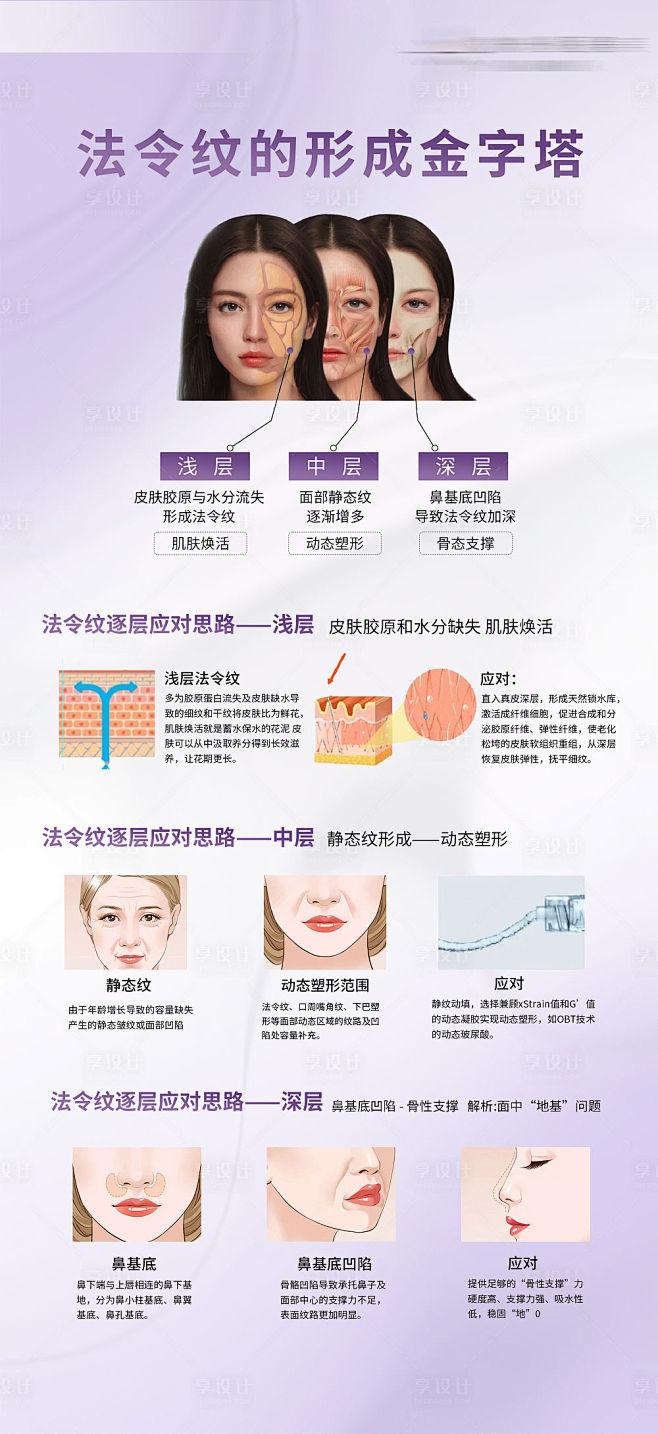 法令纹科普海报-源文件