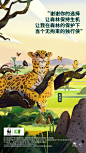动物保护！18张WWF公益海报