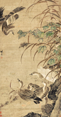 明 林良《芦雁图》