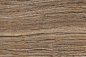 “wood texture”的图片搜索结果