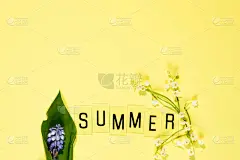 文字夏天从信件和田野洋甘菊花在黄色的背景。贺卡平铺拷贝空间概念你好夏季，夏季时间。