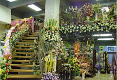 四月的风信子采集到花店