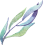 水彩紫罗兰花卉PNG免抠图