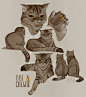 loish blog