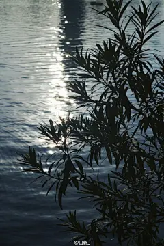 终于在玄武湖走了一圈
天气真好 人群中都能拍出这么美的照片❤ 2南京·玄武湖 ​​​​