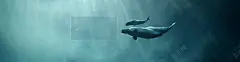 清新简约大气海报背景 多边形 大气 底纹边框 手绘 抽象 星光 浅色 浪漫 海报ban 海报背景 淘宝banner 淘宝海报 清新 清爽 灯光 炫酷 白色 眩光 科技之光 科技背景 简单 简约 缤纷 背景 背景底纹 色彩 花朵 设计 质感 速度 酷感 高清 背景 设计图片 免费下载 页面网页 平面电商 创意素材