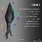 微博 – 随时随地发现新鲜事