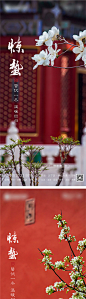 【源文件下载】海报 房地产 惊蛰 二十四节气 系列,设计作品集