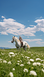 自然风光草原牧场大草原骑马摄影图