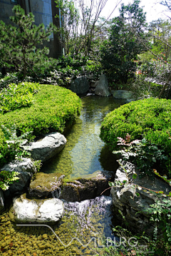 逍遥摘星捧月采集到小水景