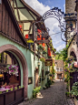 Riquewihr, Alsace, France (by Bobrad)。酒城利克威尔是法国阿尔萨斯大区（Alsace）的小镇，距北部的科尔玛（Colmar）15公里。座落在酒乡之路旁边的一处山谷中，整个小城寻觅不到一丝现代建筑的痕迹，仿佛历史的演义在这里突然停滞，使之永远定格在古朴纯美的十七世纪。因风景如画的中世纪艺术和建筑闻名于世。