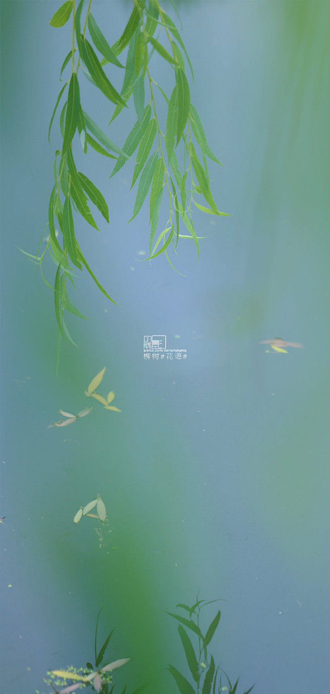 微博 – 随时随地发现新鲜事