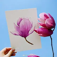 水彩--玉兰花 - 高清图片，堆糖，美图壁纸兴趣社区