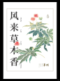 企业内刊：华润集团企业内刊封面设计欣赏 - 小红书