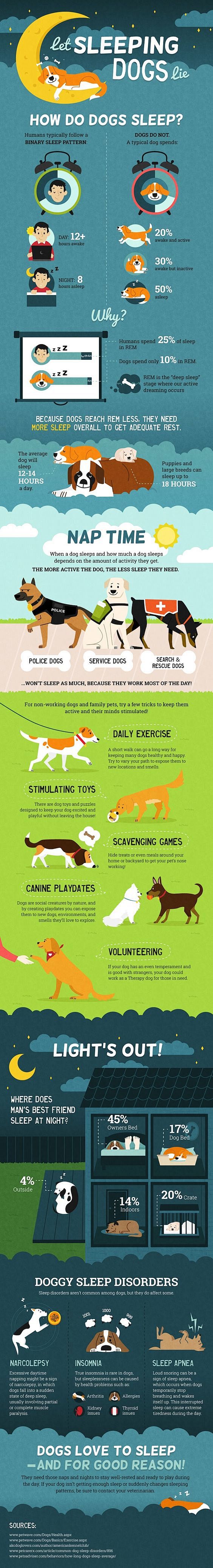 Dog Infographic:  ho...