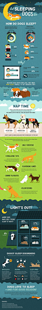 Dog Infographic:  how much sleep do dogs need, let sleeping dogs lie infographic: 