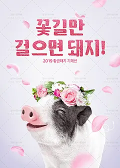308号2019可爱猪年卡通造型迎新跨年宣传活动海报PSD模板设计素材-淘宝网