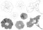 <![CDATA[ ]]>吧_<![CDATA[【资源】花花草草啥的……可能还有点别的？P站资源甚多 ]]>