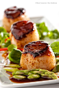 Seared Sea Scallops with Hoisin Glaze扇贝