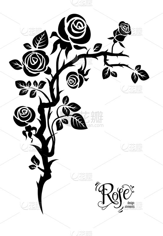 黑色,华丽的,请柬,幻想,花,问候,收集...