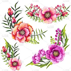 一套水彩花束与花和芽