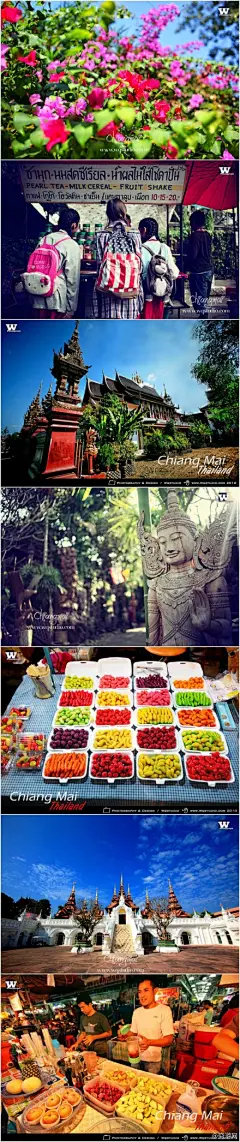 清迈，心动源自于邓丽君的“小城故事”，不想走马观花，只想好好体验那种小城的感觉，想看看她那曲街头巷尾无人不知晓的“小城故事”到底是一个多灵的小城。美丽的街巷、好吃的泰式料理、疯狂的夜市、惊艳的天灯节...穷游er@WangQi-WQ 清迈图文日记→ http://t.cn/zlF5W7x #穷游好帖#