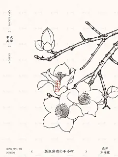 中式美学丨国风手绘木棉攀枝花【药食同源】 - 小红书