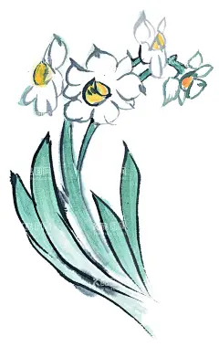 水仙  - 源文件下载【酷图网】百花争艳,国画百花争艳,国画,花鸟画,花,水墨画,花朵,红花,手绘花朵,手绘花,水墨画花,抽象花,工笔画,月季,牡丹,水墨荷花,