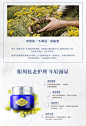 20170601-欧舒丹-蜡菊活颜精华眼霜15ml-SPP-pc_02.jpg