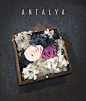 TB店名：Antalya
永生花。

紫玫瑰代表浪漫真情和珍贵独特；
粉玫瑰代表着初恋，喜欢你那灿烂的笑容；

A系列——Accept（接受） 
“世上没有十全十美的人”。白色的绣球与水苔，点缀着黑色的绣球，就像初相识，彼此激烈的碰撞，即使争吵与摩擦，依然想在一起的决心，就像这样的坚持与执着。爱，就爱全部，优点缺点，都是那么独一无二。
接受——就是我爱你的方式。
