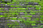 望加锡,印度尼西亚,古老的,苔藓,绿色,石墙,苏拉威西,纹理效果,部分,砖