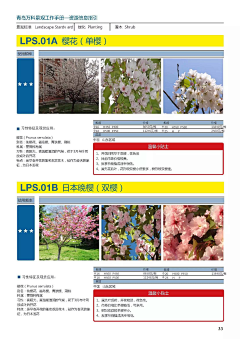 Luna-CC采集到A—植物万能公式
