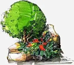 手绘树木园林植物高清素材 免费下载 页面网页 平面电商 创意素材 png素材