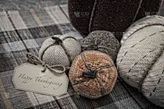 秋天,南瓜,背景,棉被,格子花纹,十月,贺卡,纺织品,席次牌,边框