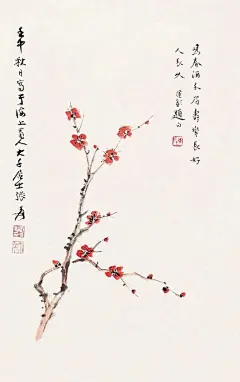 张大千 花卉欣赏 