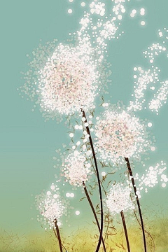 星K采集到创意