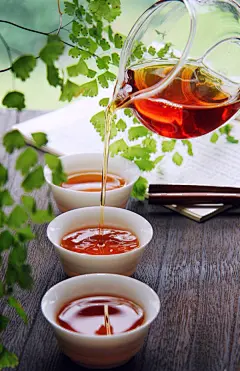 图片专区-大益茶道院