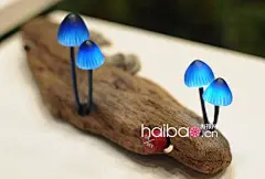 【图】把自然搬回家，让蘑菇在家中“盎然生长”！高野幸雄 (Great Mushrooming) 设计的袖珍蘑菇灯有没有让你感到很温暖？_灯具_海报时尚@北坤人素材