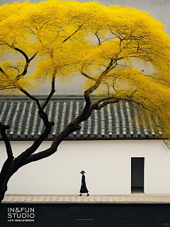 漩涡/xuanwo采集到未命名画板(2)