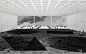 NEMESTUDIO-Museum-of-Lost-Volumes-5