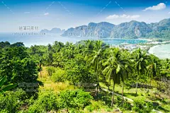 gq374|森林绿植热带雨林自然风景高清海报图片包装壁纸ps设计素材-淘宝网