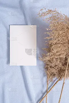 白色空白纸卡模型pampas干草蓝色中性色纺织品