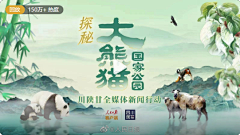 山上的竹采集到视频封面