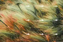 背景 4K壁纸 抽象 自然 桌面背景 Windows壁纸 壁纸4K