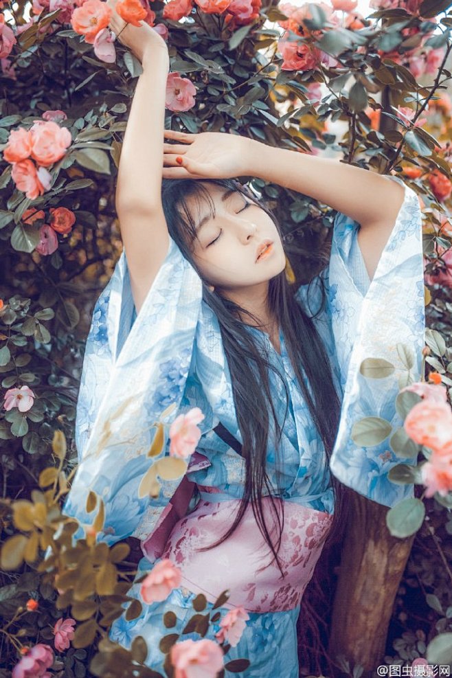 #图虫女神#ばらの恋 #图虫摄影师#@摄...