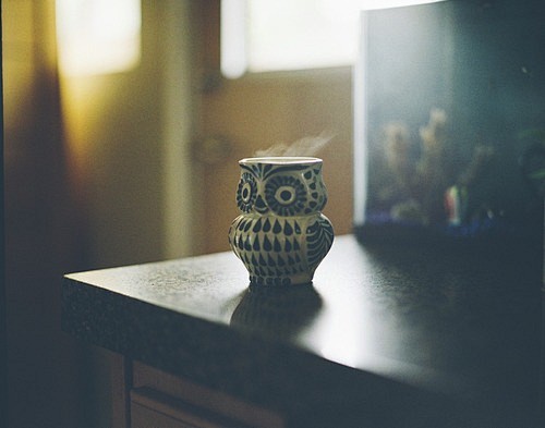 coffee with an owl f...