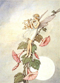 .: Vintage Fairies, Wall Clock, Laminae Vintage, Faeries Fantasy Art, Greeting Card, Flower Fairies, Fairies Fairytales, Ida Rentoul Outhwaite